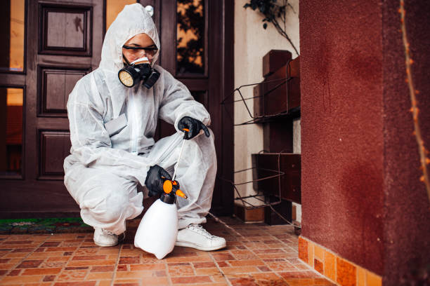 Reliable Mosquito Control contractor in Limon, CO by Show Me Pest Control